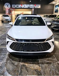 بي واي دي Qin Plus